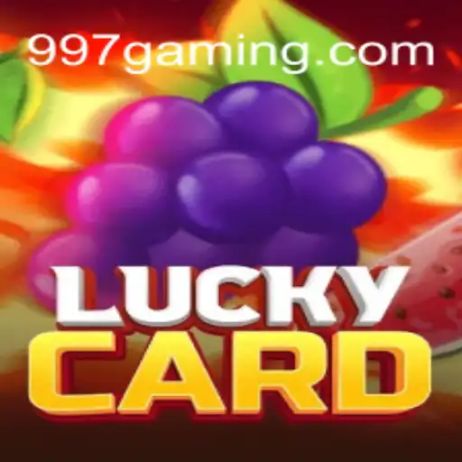 An In-Depth Look into LuckyCard – The Premier Casino Game at 997 Bet Oficial