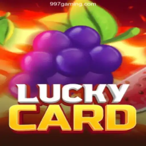 An In-Depth Look into LuckyCard – The Premier Casino Game at 997 Bet Oficial